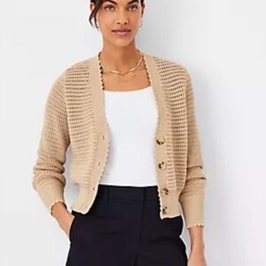 Ann Taylor | Women’s Tan Textured Chunky Cardigan Size XL
